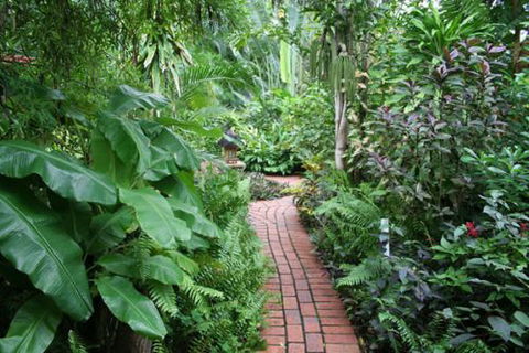 Shambhala Retreat Magnetic Island Cottages - Accommodation Mount Tamborine 7