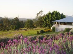 Blue Ridge Lavender Farm And Retreat - Accommodation Mount Tamborine 0