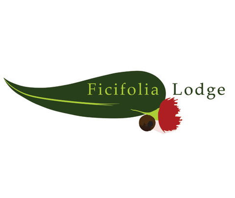 Ficifolia Lodge - Accommodation Mount Tamborine 0
