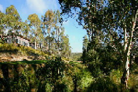 Rossarden TAS Accommodation Mount Tamborine