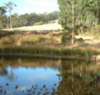 Kiah Nunyara Accommodation - Accommodation Mount Tamborine