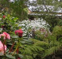 Lorne Lemonade Creek Cottages - Accommodation Mount Tamborine