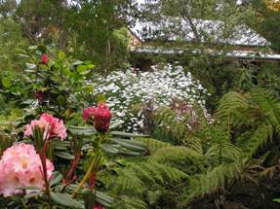 Lorne Lemonade Creek Cottages - Accommodation Mount Tamborine 0