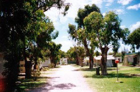 Bathers Paradise Caravan Park - Accommodation Mount Tamborine 0