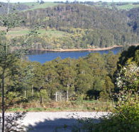 Charlyn Lodge - Accommodation Mount Tamborine