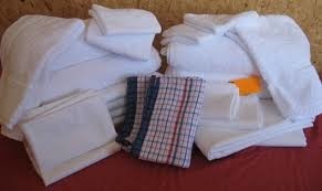 Mountain Clean Services - Accommodation Mount Tamborine 2