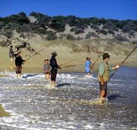 Flippers Beachouse - Accommodation Mount Tamborine