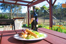 Quamby Pines Chalet B & B - Accommodation Mount Tamborine 0