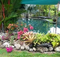 Daintree Wild Bed And Breakfast - Accommodation Mount Tamborine