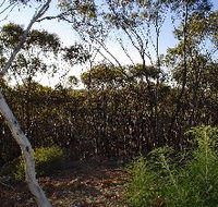 Lions Dryandra Woodlands Village - Accommodation Mount Tamborine