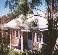 Murnong - Accommodation Mount Tamborine