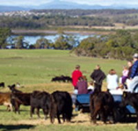 Bonny Brae - Accommodation Mount Tamborine
