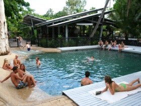 Bungalow Bay Koala Village - Accommodation Mount Tamborine 0