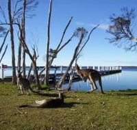 Waterfront Retreat At Wattle Point - Accommodation Mount Tamborine