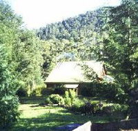 Horse Haven Farmstay - Accommodation Mount Tamborine