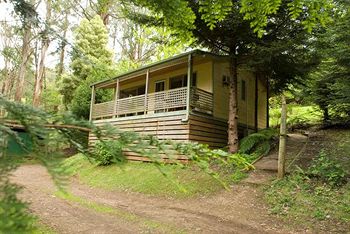 Hill 'N' Dale Farm Cottages - Accommodation Mount Tamborine 3