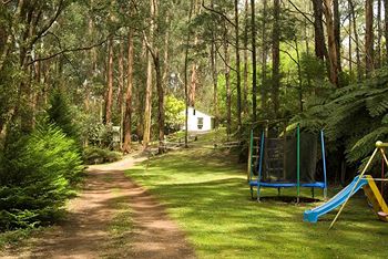 Hill 'N' Dale Farm Cottages - Accommodation Mount Tamborine 11