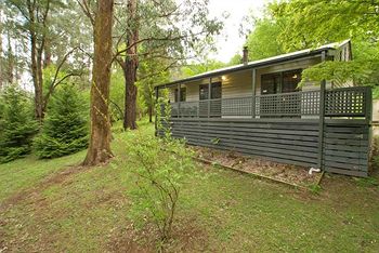 Hill 'N' Dale Farm Cottages - Accommodation Mount Tamborine 12