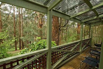 Hill 'N' Dale Farm Cottages - Accommodation Mount Tamborine 13