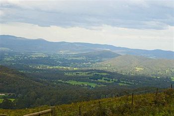 Hill 'N' Dale Farm Cottages - Accommodation Mount Tamborine 14
