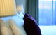 Buckingham International Serviced Apartments - thumb 2