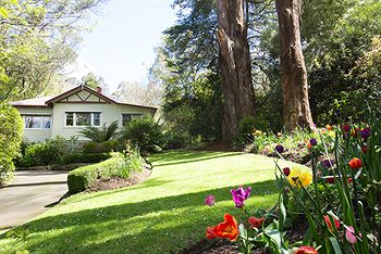 Adeline Bed And Breakfast - Accommodation Mount Tamborine 5