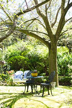 Adeline Bed And Breakfast - Accommodation Mount Tamborine 7