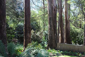 Adeline Bed And Breakfast - Accommodation Mount Tamborine 8