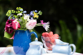 Adeline Bed And Breakfast - Accommodation Mount Tamborine 21