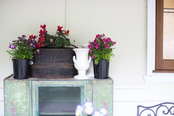 Adeline Bed And Breakfast - Accommodation Mount Tamborine 22