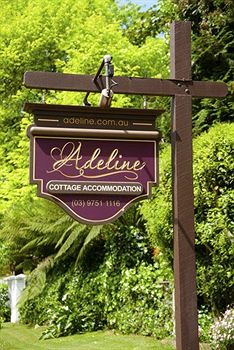 Adeline Bed And Breakfast - Accommodation Mount Tamborine 3