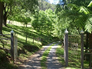 Brentwood Accommodation - Accommodation Mount Tamborine 1