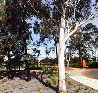 Box Hill Studios at Canterbury Gardens - Accommodation Mount Tamborine
