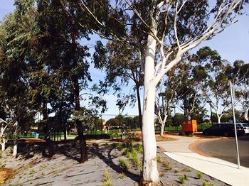 Box Hill Studios At Canterbury Gardens - Accommodation Mount Tamborine 0