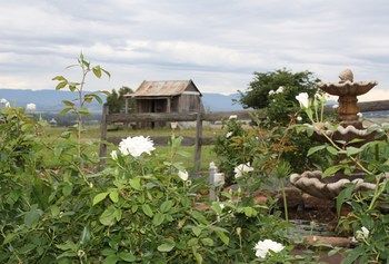Strathearn Park Lodge - Accommodation Mount Tamborine 16