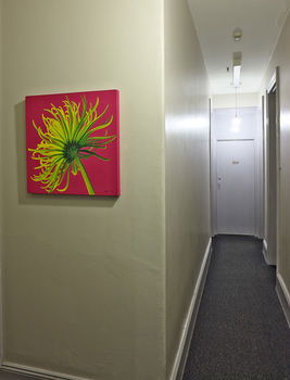 The George Street Hotel - Hostel - Accommodation Mount Tamborine 13