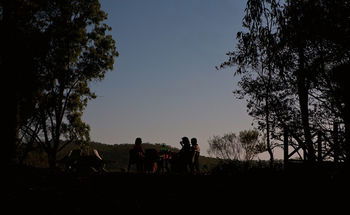 Ferndale - Accommodation Mount Tamborine 6