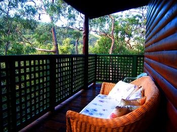 Ferndale - Accommodation Mount Tamborine 17