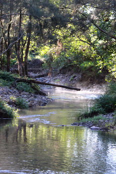 Yabbaloumba Retreat - Accommodation Mount Tamborine 5