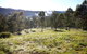 Yabbaloumba Retreat - thumb 21