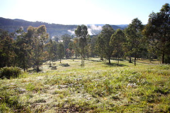 Yabbaloumba Retreat - Accommodation Mount Tamborine 21