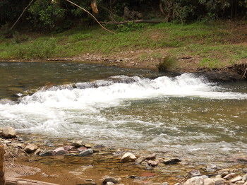Yabbaloumba Retreat - Accommodation Mount Tamborine 23