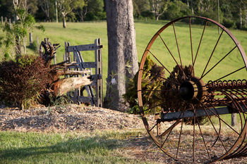 Yabbaloumba Retreat - Accommodation Mount Tamborine 24