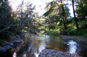 Yabbaloumba Retreat - Accommodation Mount Tamborine 25