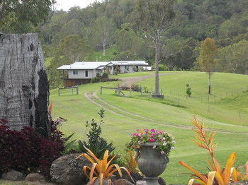 Yabbaloumba Retreat - Accommodation Mount Tamborine 26