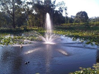 Wild Cattle Creek Estate - Accommodation Mount Tamborine 14