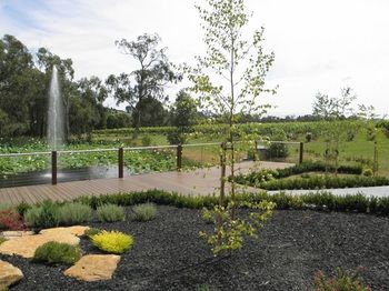 Wild Cattle Creek Estate - Accommodation Mount Tamborine 26
