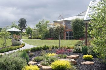 Wild Cattle Creek Estate - Accommodation Mount Tamborine 37