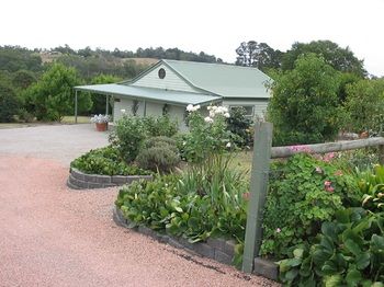 Wild Cattle Creek Estate - Accommodation Mount Tamborine 41