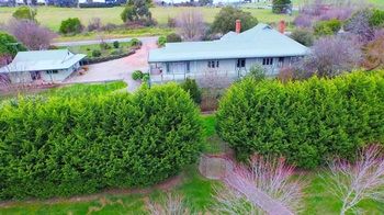 Wild Cattle Creek Estate - Accommodation Mount Tamborine 47